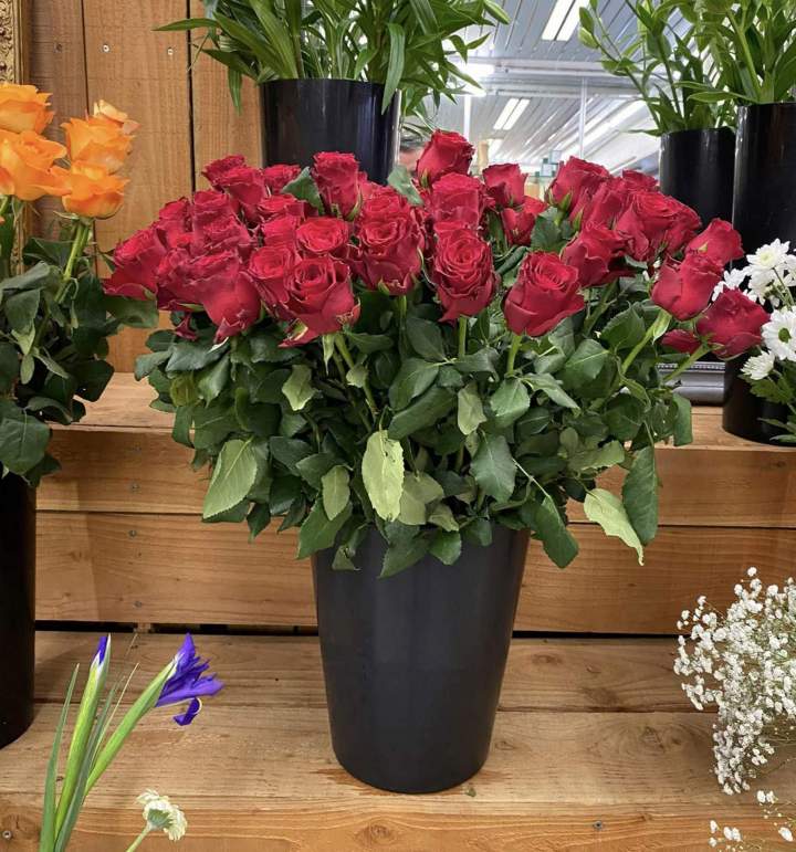 Bouquet de fleurs Gournay-en-Bray
