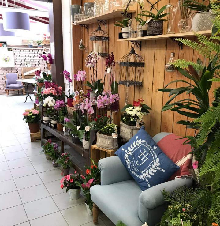 Boutique de fleuriste Gournay-en-Bray