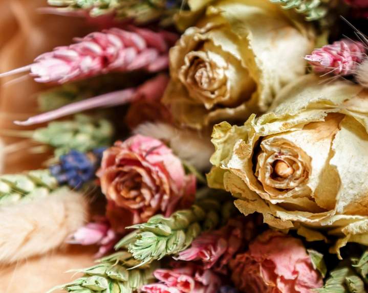 Élégantes fleurs séchées et éternelles.