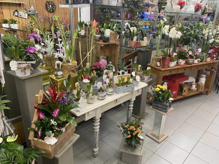 Boutique de fleurs à Gournay en Bray