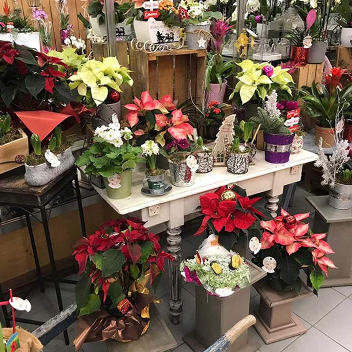 Fleuriste mariage Gournay en Bray