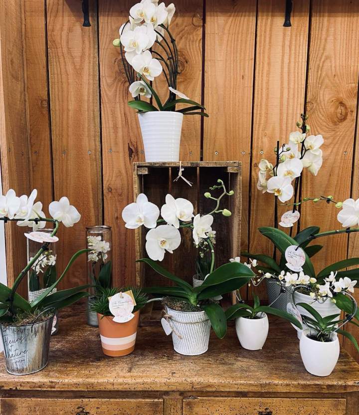 Vente de bouquet de fleurs à Gournay en Bray